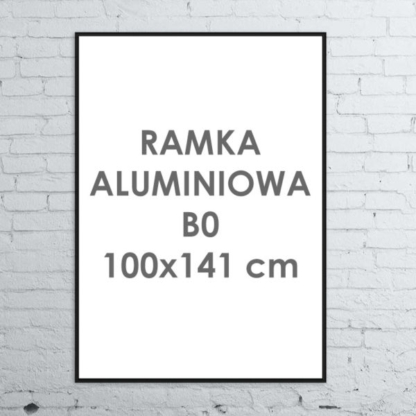 Rama aluminiowa ALU G3 B0 100×141 cm