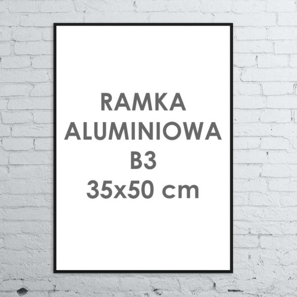 Rama aluminiowa ALU G3 B3 35×50 cm