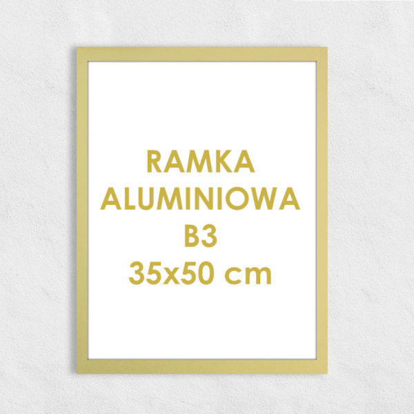 Rama aluminiowa prostokątna ALU F5 B3 35x50 cm
